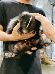 -Zoolung Zoolung动物主题公园(海信广场店)