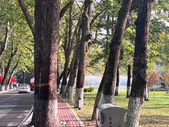 -棒棰岛宾馆景区