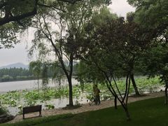 -杭州君悦酒店