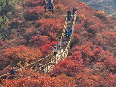 -水峪民俗村