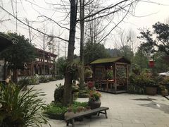 -青城甲(青城山店)