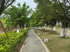 -芒洲湿地公园
