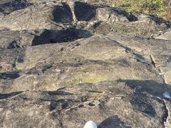 -福建鲤鱼洲酒店