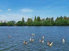 -艾溪湖湿地公园