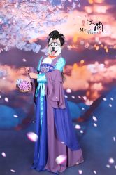 -后宫·古装汉服京剧儿童亲子全家福摄影