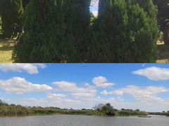 -盐城丹顶鹤湿地生态旅游区