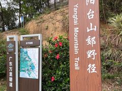-阳台山森林公园