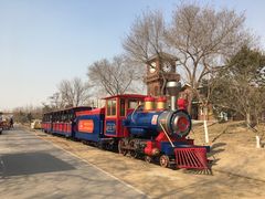 -永定河休闲森林公园