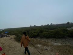 -红树林天天赶海