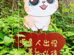 -终南山南五台景区