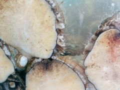 -聚德福海鲜家常菜(刘庄店)