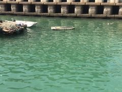 -鑫艋游艇海钓俱乐部