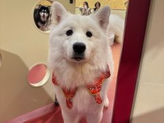 -和它·交个朋友·狗咖猫咖(爱琴海店)