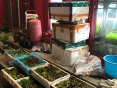 -华声天桥民俗文化园