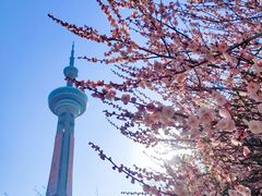 -南京古林公园