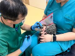 -瑞派天宁宠物医院·猫科·异宠中心