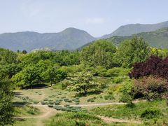 -国家植物园南园