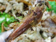 烤羊腿-玉泉山庄(亚欧店)