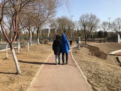 -丁香湖公园