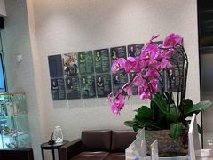 -TSK齿科德申会口腔门诊·联洋诊所