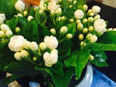 拂晓-拂晓山房·私房川菜(西门店)