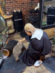 -青木造型HAIR·あおき髪を刈る潮人店