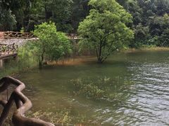 -石燕湖生态旅游景区