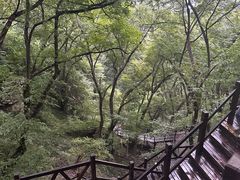 -皇藏峪国家森林公园