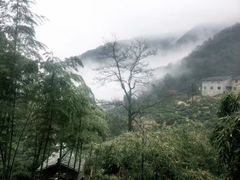 -东白山