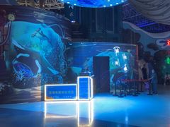 -烟台海昌鲸鲨海洋公园