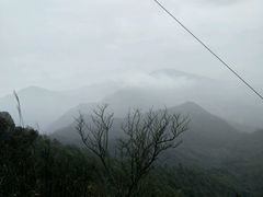 -江西阳明山国家森林公园