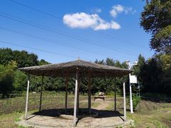 -黑龙江省森林植物园