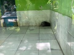 -荆州中山公园动物园