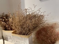 -白棠(九方保利大厦店)