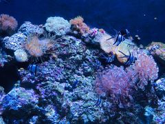 -成都浩海立方海洋公园