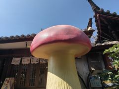 -菌自由丨野生菌火锅特色庭院餐厅(丽江古城店)