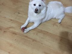 -2048香辣虾(七星岗店)