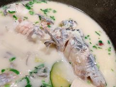 -鲜潭蒸汽石锅鱼(五道口购物中心店)