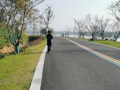 -羊山湖公园