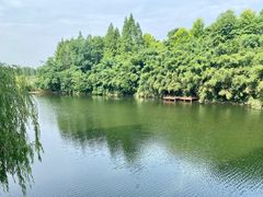 -东平国家森林公园