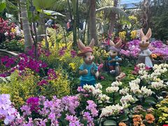 -北京植物园-展览温室