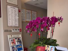 -土豆口腔(凤凰北总店)