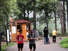 -东郊湿地公园