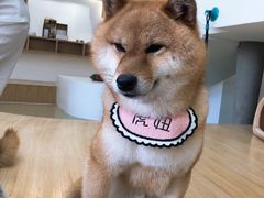 -海底捞火锅(新松江路店)