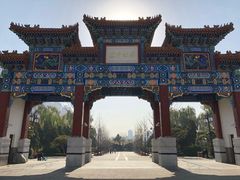 -迎泽公园