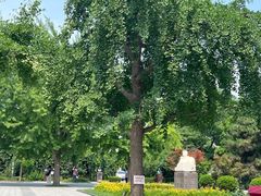 -北京鲁迅博物馆(北京新文化运动纪念馆鲁博馆区)