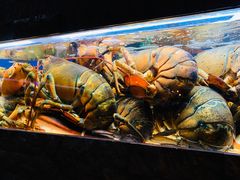 -鱼乐轩海鲜专门店