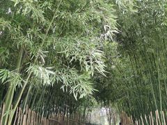 -西安市长乐公园