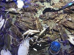 -澜悦港海鲜体验主题餐厅