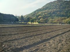 -八卦田遗址公园